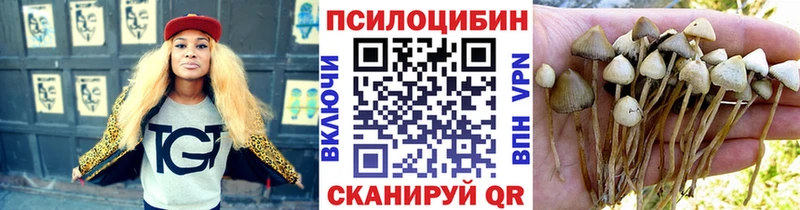 Псилоцибиновые грибы Psilocybe  Новый Уренгой 