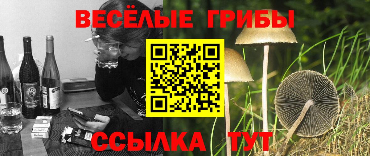 Псилоцибиновые грибы Psilocybine cubensis Новый Уренгой
