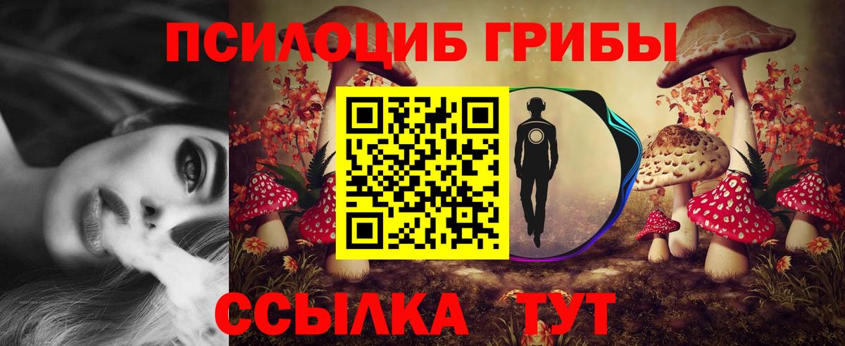 Новый Уренгой  Псилоцибиновые грибы GOLDEN TEACHER  Псилоцибиновые грибы мухоморы  где купить наркоту  Вход с VPN 